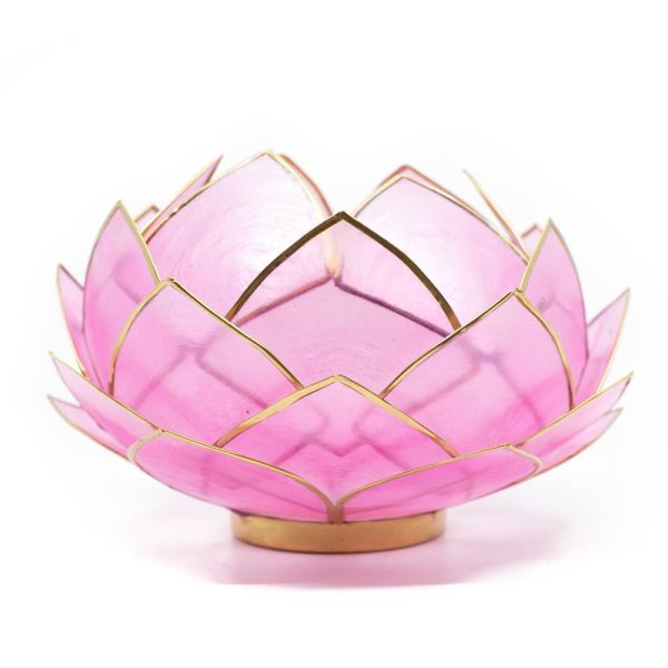 Lotus Mood Light Pink Gold Rim | Large