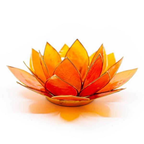 Lotus Mood Light Orange 2. Chakra Goldrand