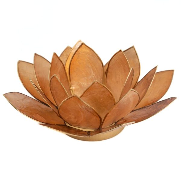 Lotus Mood Light Mokka Goldrand