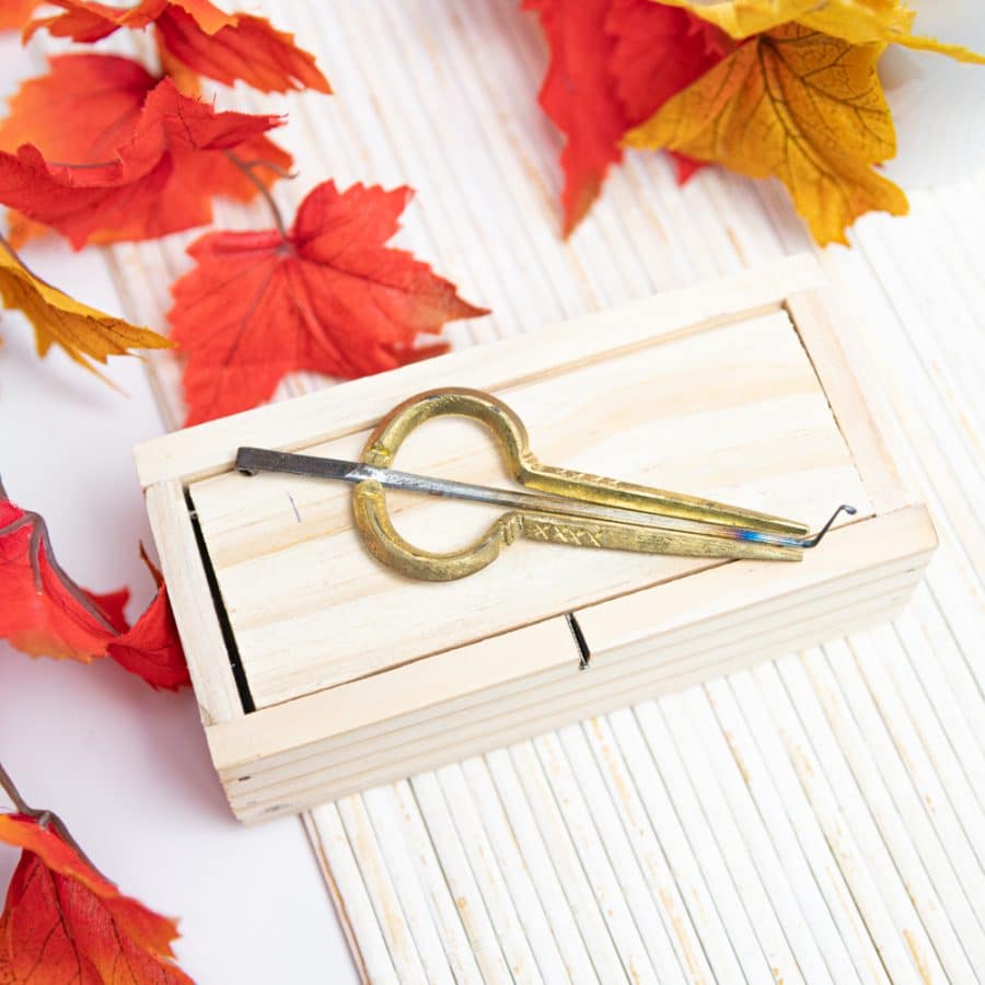 Authentieke Murchunga Mondharp Messing | 10 cm – Bild 2