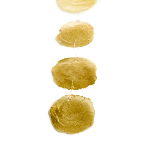 Muschelgirlande Capiz Medium | Gold