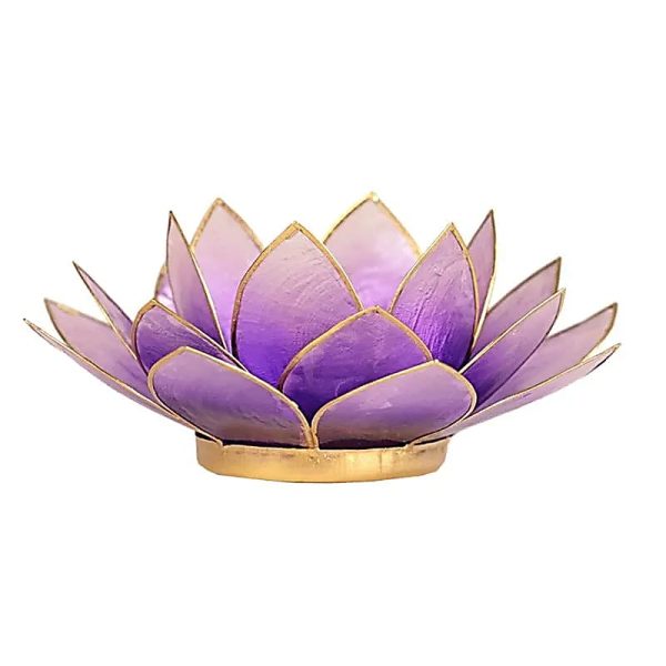 Lotus Stimmung hellviolett Goldrand | 13,5 cm