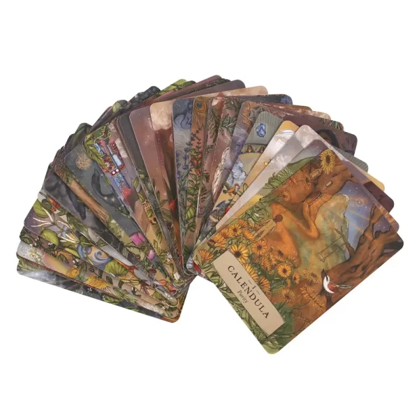 Herbal Astrology Oracle Cards – Bild 2