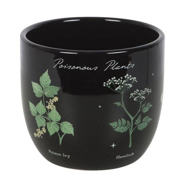 Blumentopf | Giftige Pflanzen