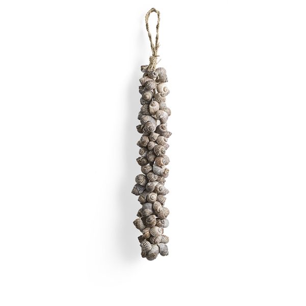 Muschelstrang Dunkelbraun | 30 cm